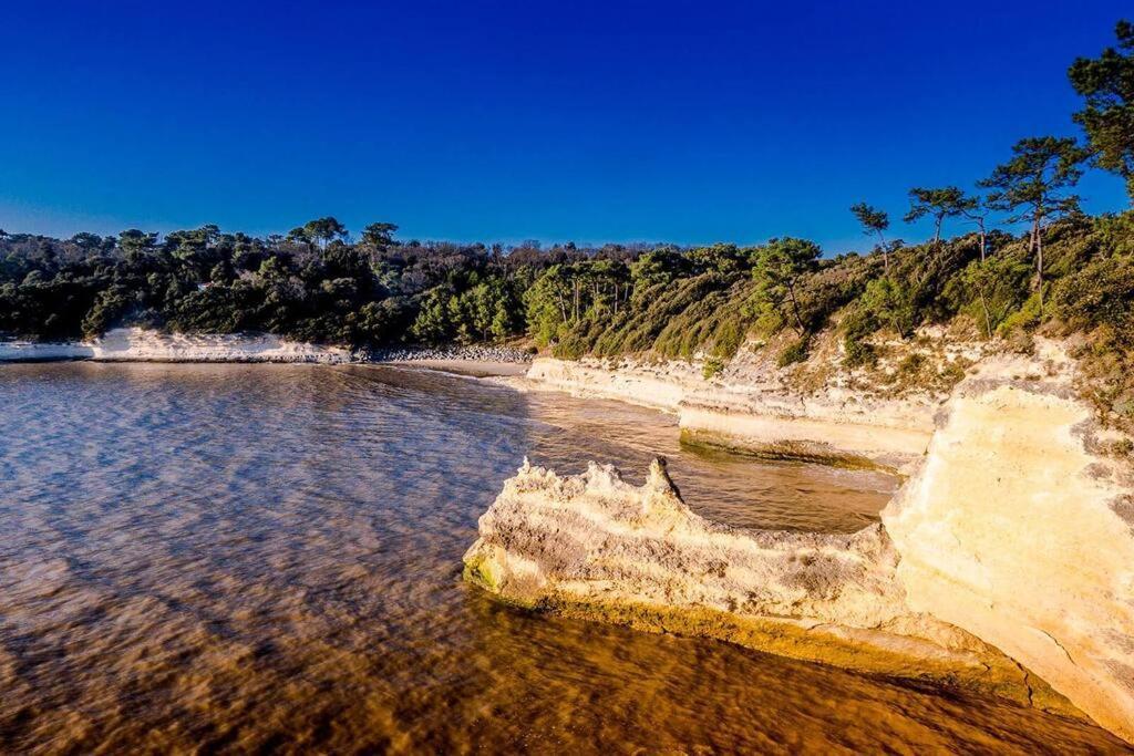Entre Plage Et Foret - Agreable T3 Saint-Georges-de-Didonne Buitenkant foto